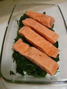 salmon-4230_1920