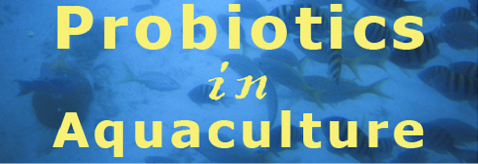 Use of Probiotics in Aquaculture – Does it Really Work?