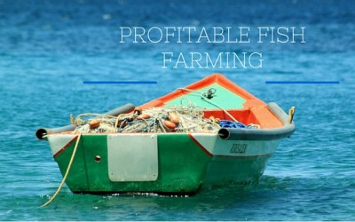 Profitable Fish Farming