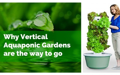 Why Vertical Aquaponic Gardens are the way to go