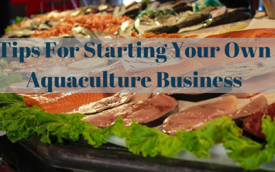 Tips For Starting Your Own Aquaculture Business
