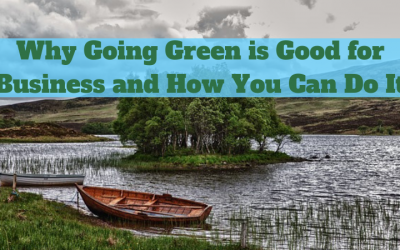 Why Going Green is Good for Business and How You Can Do It