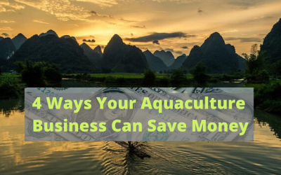 4 Ways Your Aquaculture Business Can Save Money