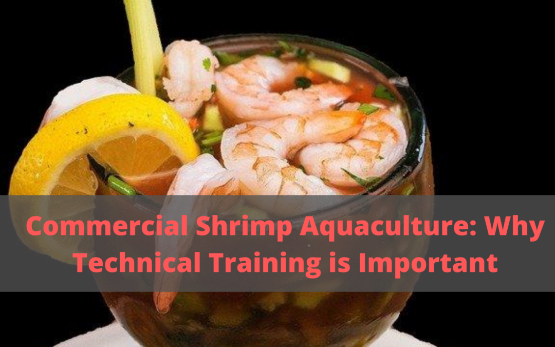 Commercial Shrimp Aquaculture: Why Technical Training is Important