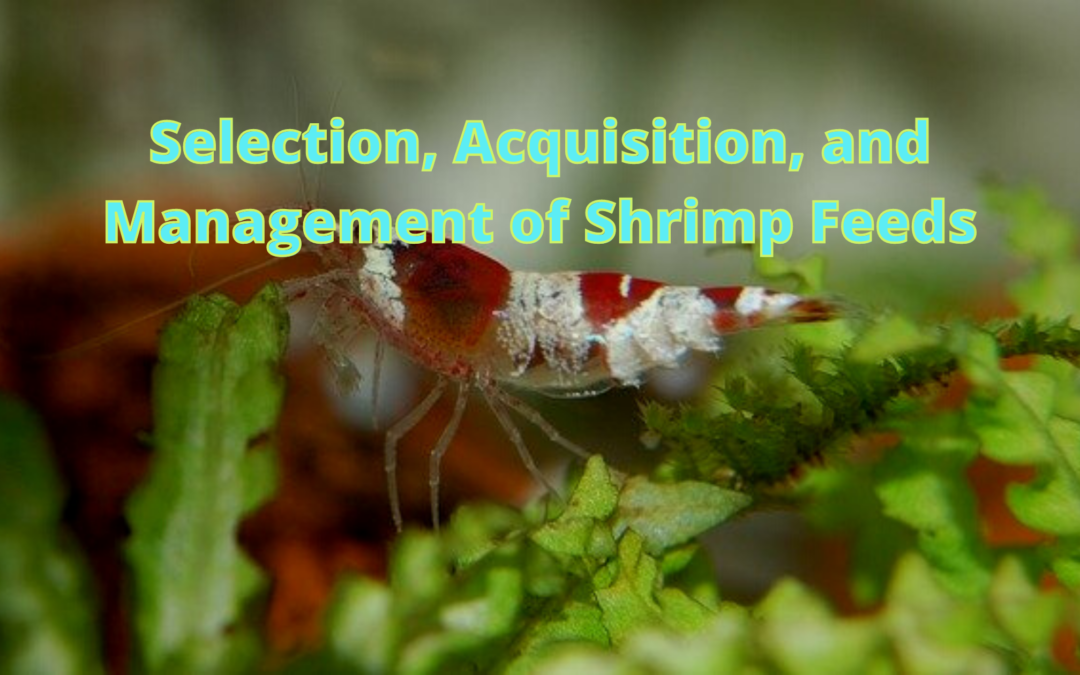 Selection, Acquisition, and Management of Shrimp Feeds