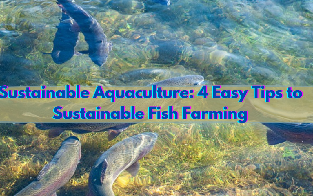 Sustainable Aquaculture: 4 Easy Tips to Sustainable Fish Farming