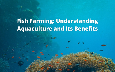 Fish Farming: Understanding Aquaculture and Its Benefits