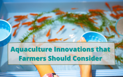 Aquaculture Innovations that Farmers Should Consider