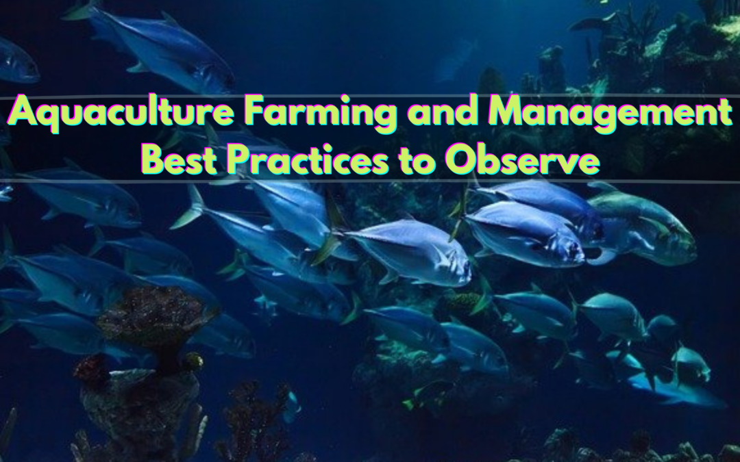 Aquaculture Farming and Management Best Practices to Observe