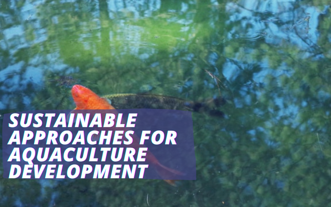 Sustainable Approaches for Aquaculture Development