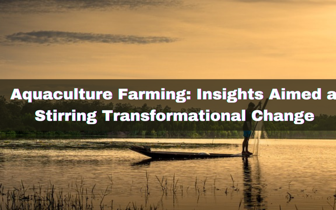 Aquaculture Farming: Insights Aimed at Stirring Transformational Change