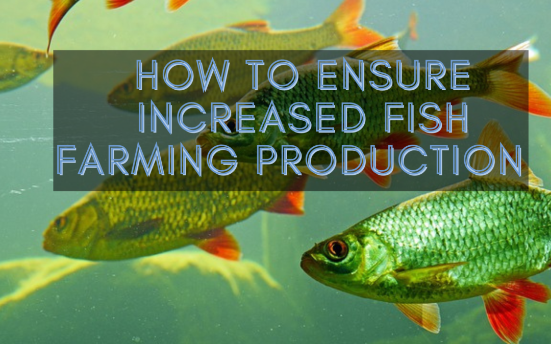 How to ensure Increased Fish Farming Production