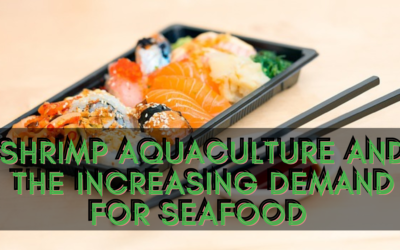Shrimp Aquaculture and the Increasing Demand for Seafood