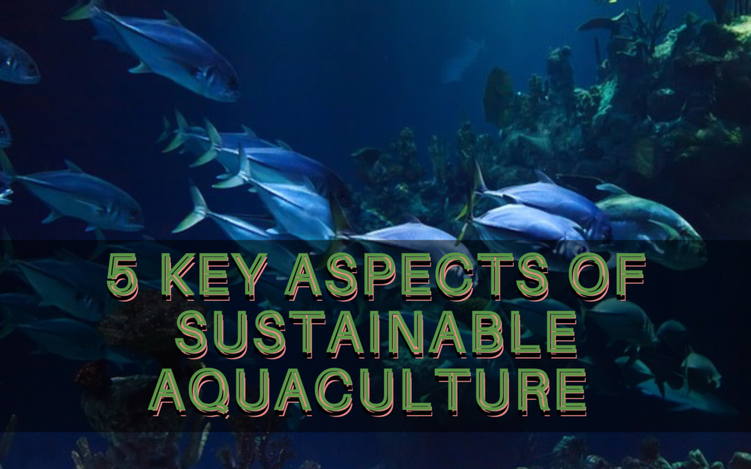 5 Key Aspects of Sustainable Aquaculture