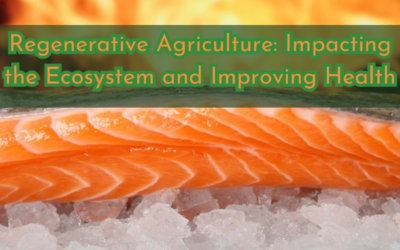 The Future of Fish Farming in Meeting the Rising Demand For Protein