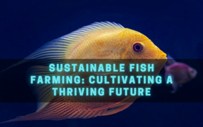 Sustainable Fish Farming: Cultivating a Thriving Future