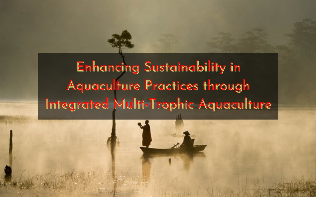 IMTA Enhancing Sustainability in Aquaculture Practices through Integrated Multi-Trophic Aquaculture