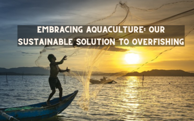 Embracing Aquaculture: Our Sustainable Solution to Overfishing