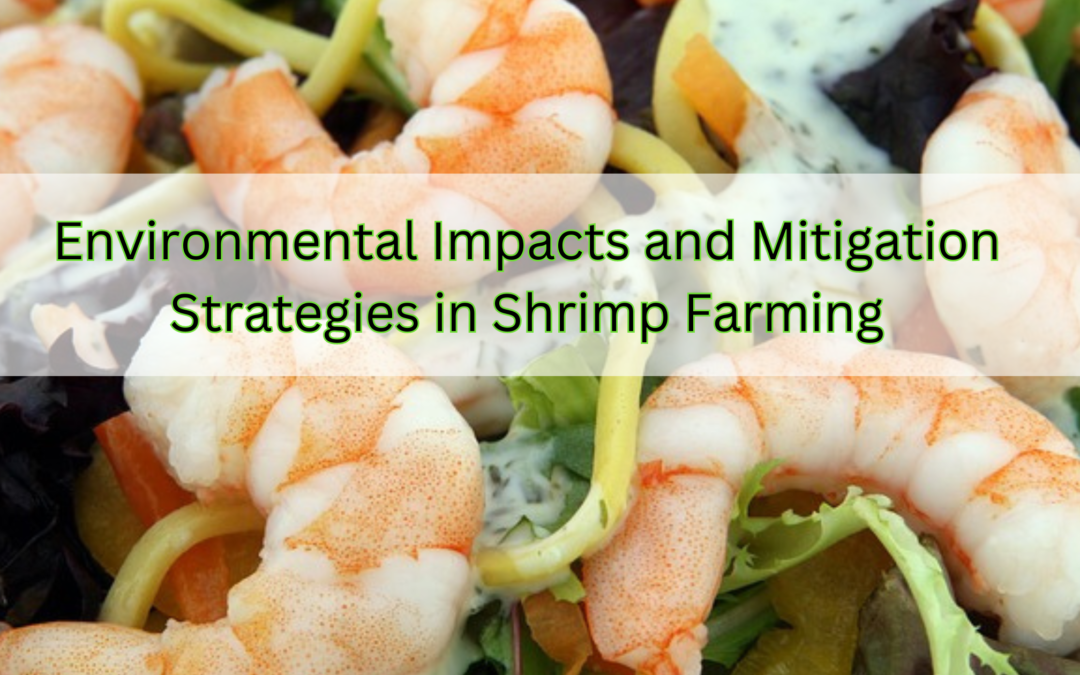 Environmental Impacts and Mitigation Strategies in Shrimp Farming