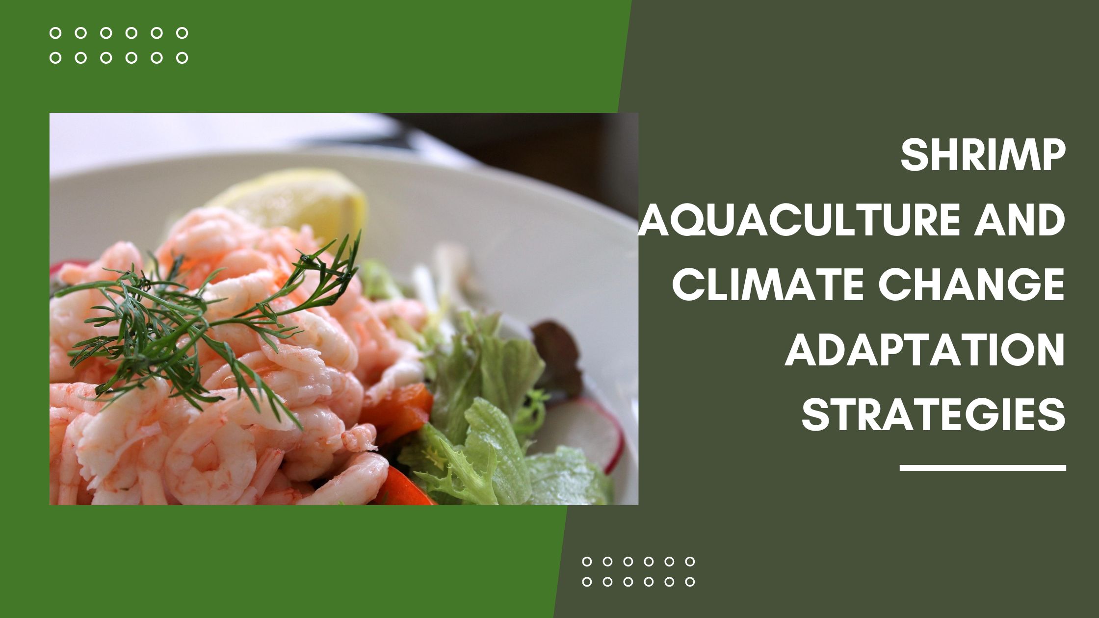 Shrimp Aquaculture and Climate Change Adaptation Strategies