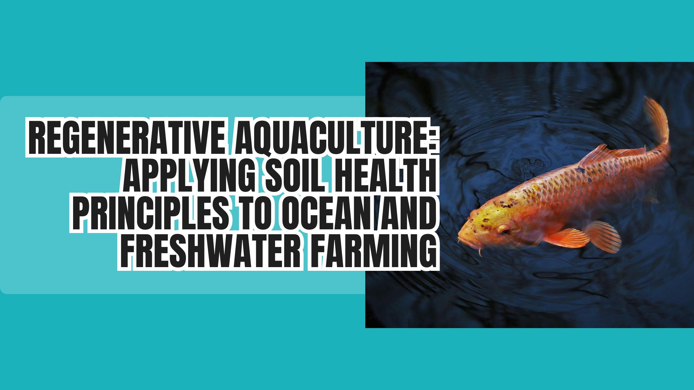 Regenerative Aquaculture: Applying Soil Health Principles to Ocean and Freshwater Farming
