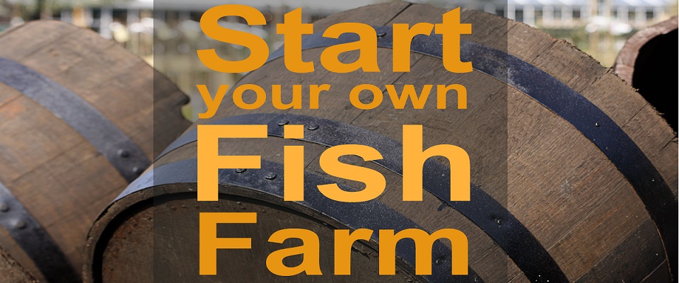 Turn your Home into a Home Based Fish Farm