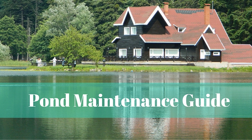 Spring pond maintenance
