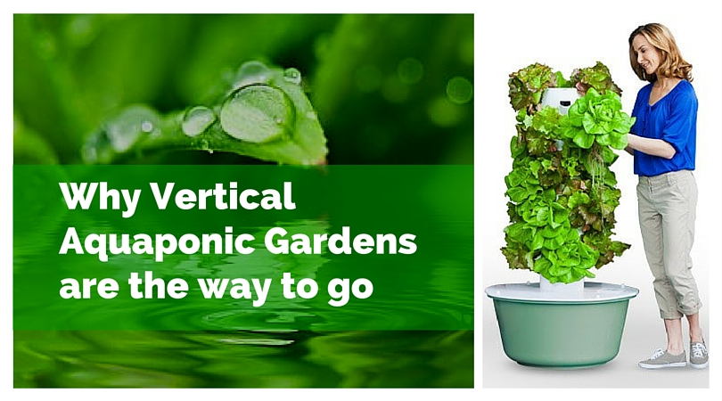 Why Vertical Aquaponic Gardens are the way to go
