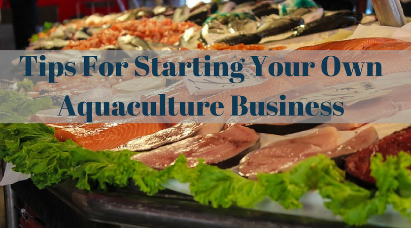 Tips For Starting Your Own Aquaculture Business