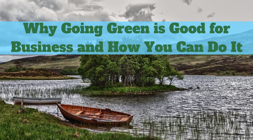 Why Going Green is Good for Business and How You Can Do It