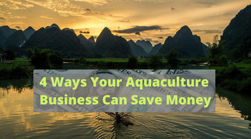 4 Ways Your Aquaculture Business Can Save Money