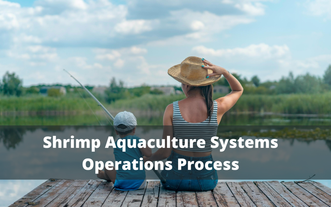 Shrimp Aquaculture Systems Operations Process