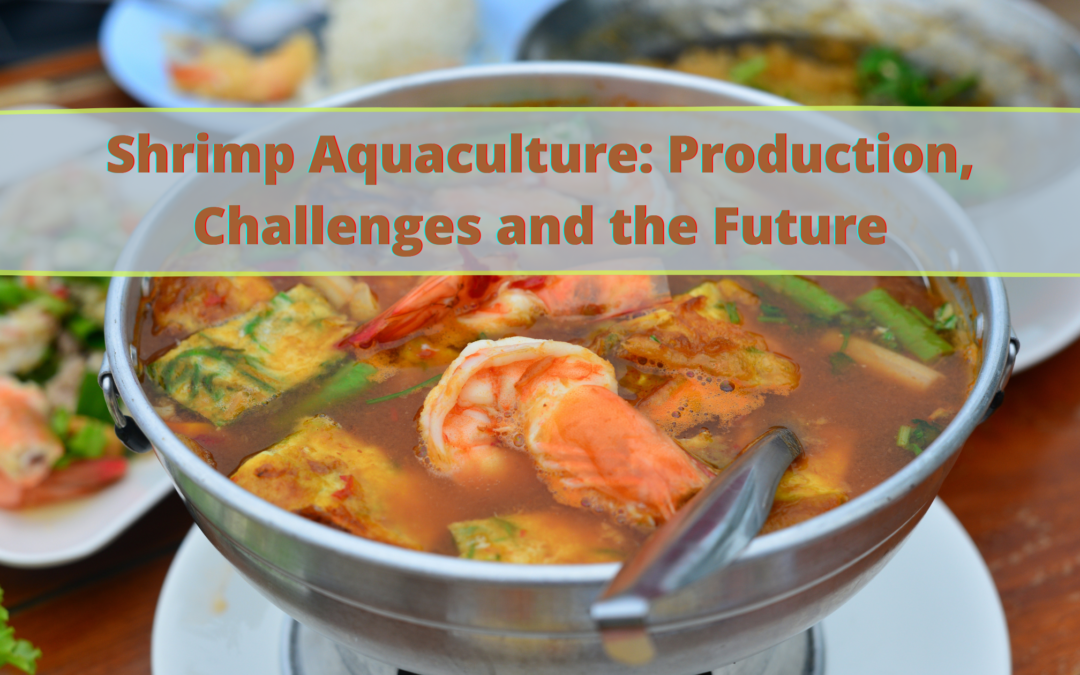 Shrimp Aquaculture: Production, Challenges and the Future