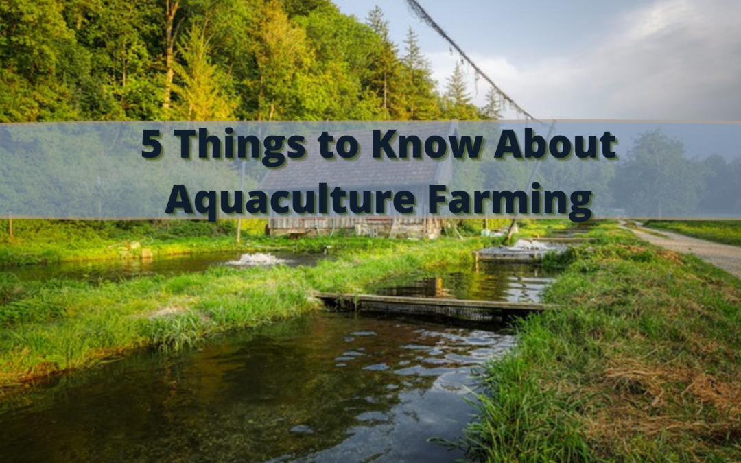 5 Things to Know About Aquaculture Farming