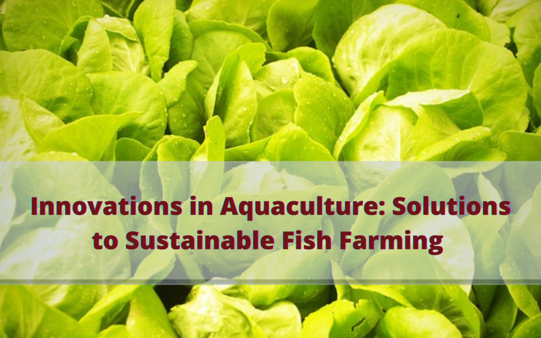 Innovations in Aquaculture: Solutions to Sustainable Fish Farming