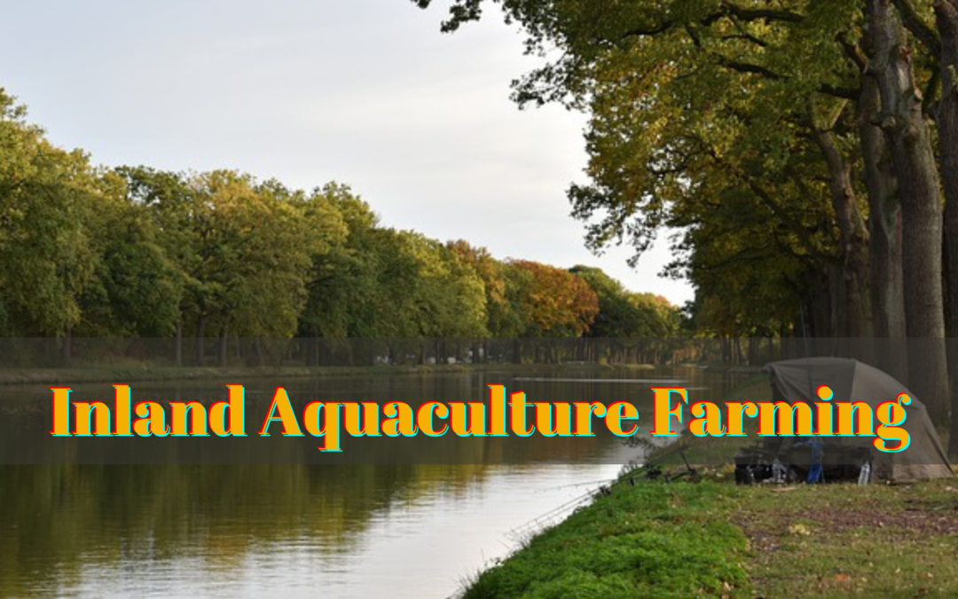 Inland Aquaculture Farming