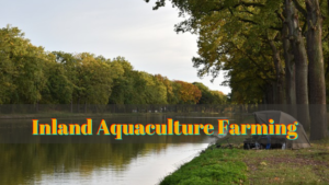 inland aquaculture