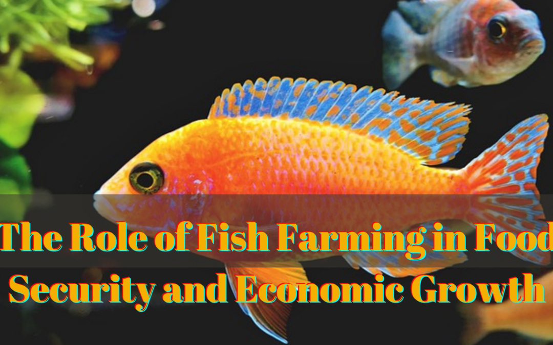 The Role of Fish Farming in Food Security and Economic Growth