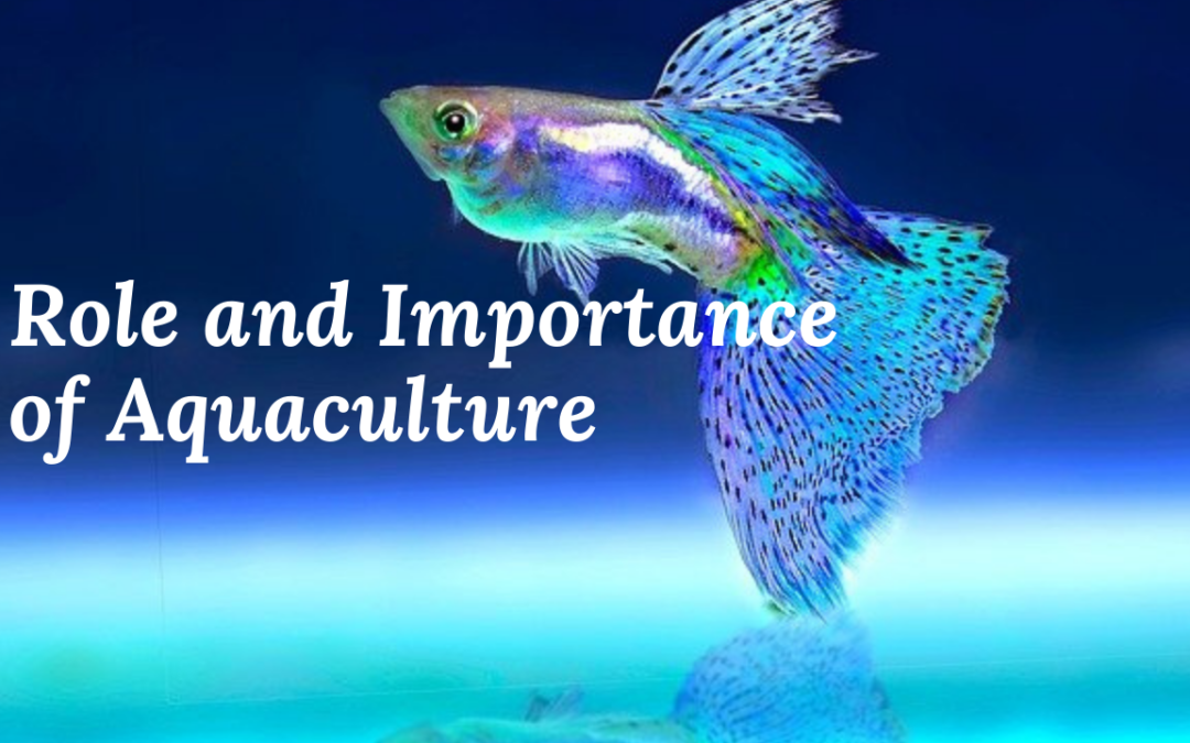 Role and Importance of Aquaculture