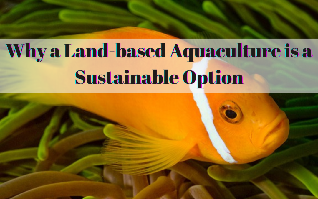 Why a Land-based Aquaculture is a Sustainable Option