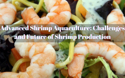 Advanced Shrimp Aquaculture: Challenges and Future of Shrimp Production