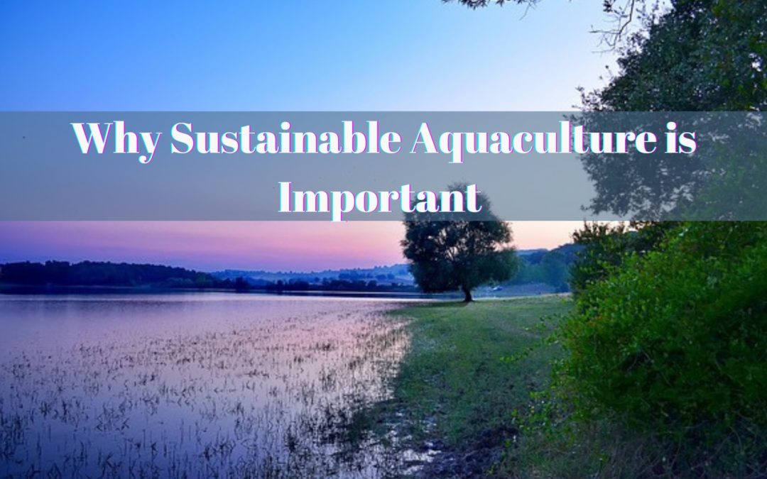 Why Sustainable Aquaculture is Important
