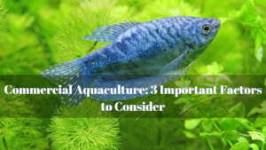 Commercial Aquaculture