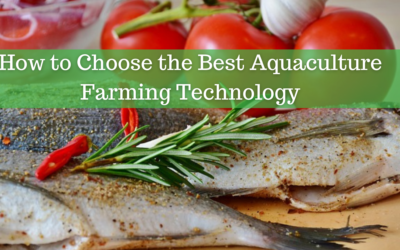 How to Choose the Best Aquaculture Farming Technology