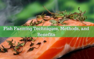Fish Farming Techniques, Methods, and Benefits