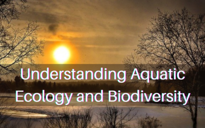Understanding Aquatic Ecology and Biodiversity