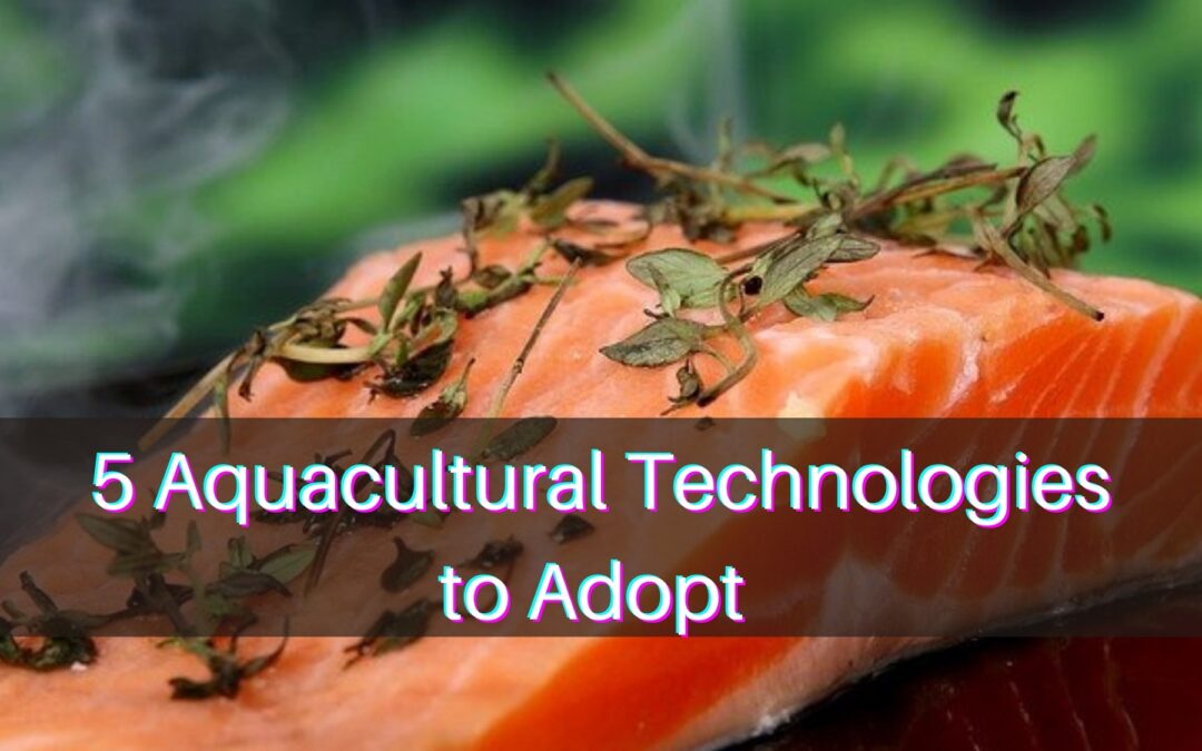 5 Aquacultural Technologies to Adopt