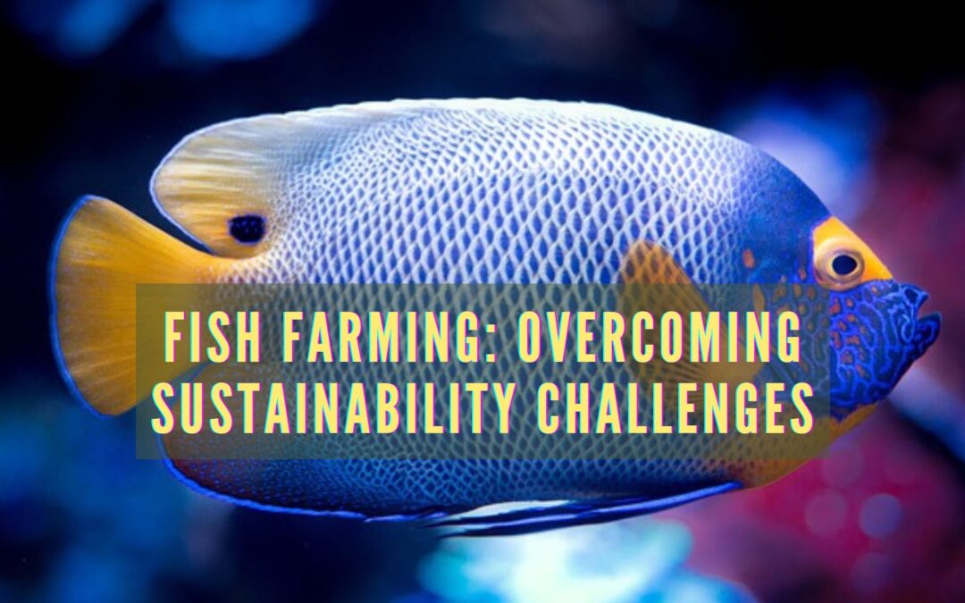 Fish Farming: Overcoming Sustainability Challenges