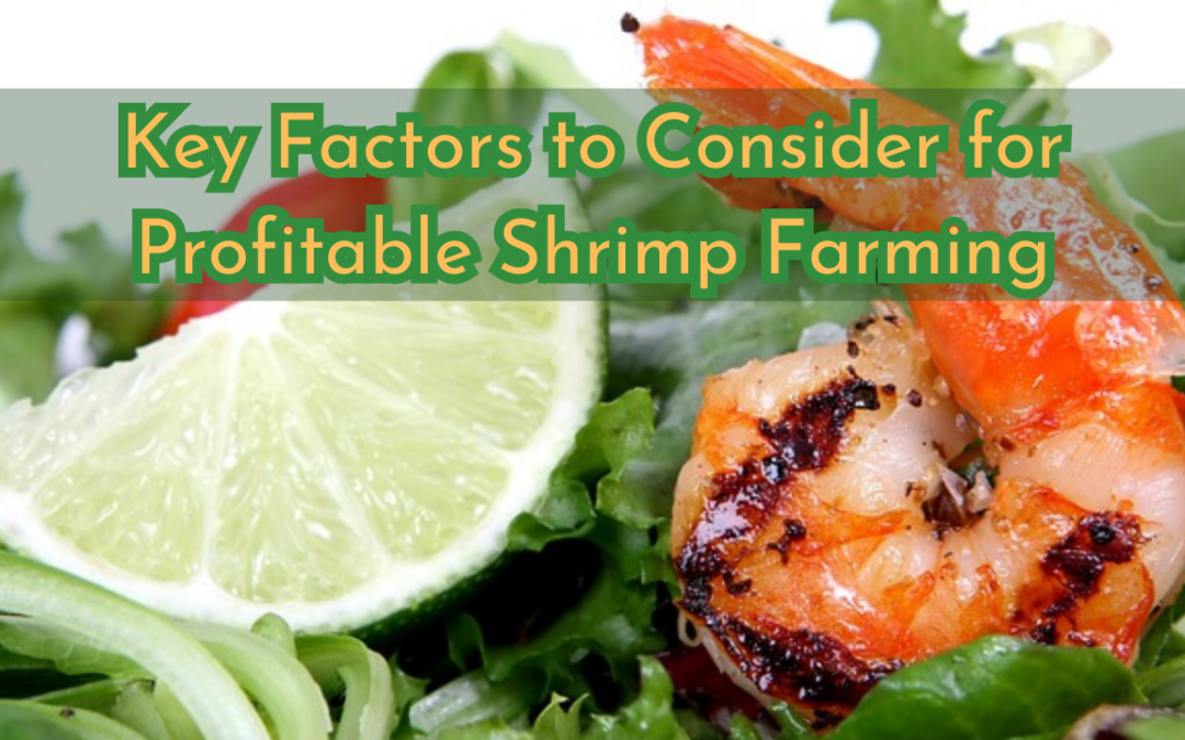 Taking the Plunge: Key Factors to Consider for Profitable Shrimp Farming