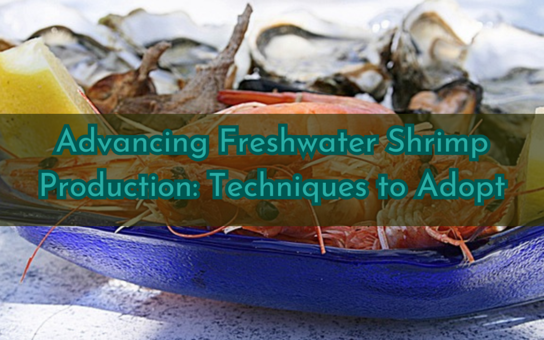 Advancing Freshwater Shrimp Production: Techniques to Adopt